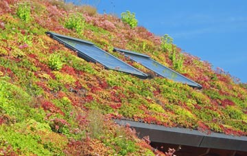 Pockley living roof systems