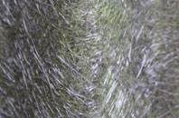 Pockley fibreglass roof work